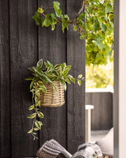 Håndflettet kurv i kubu rattan med planter i udenfor