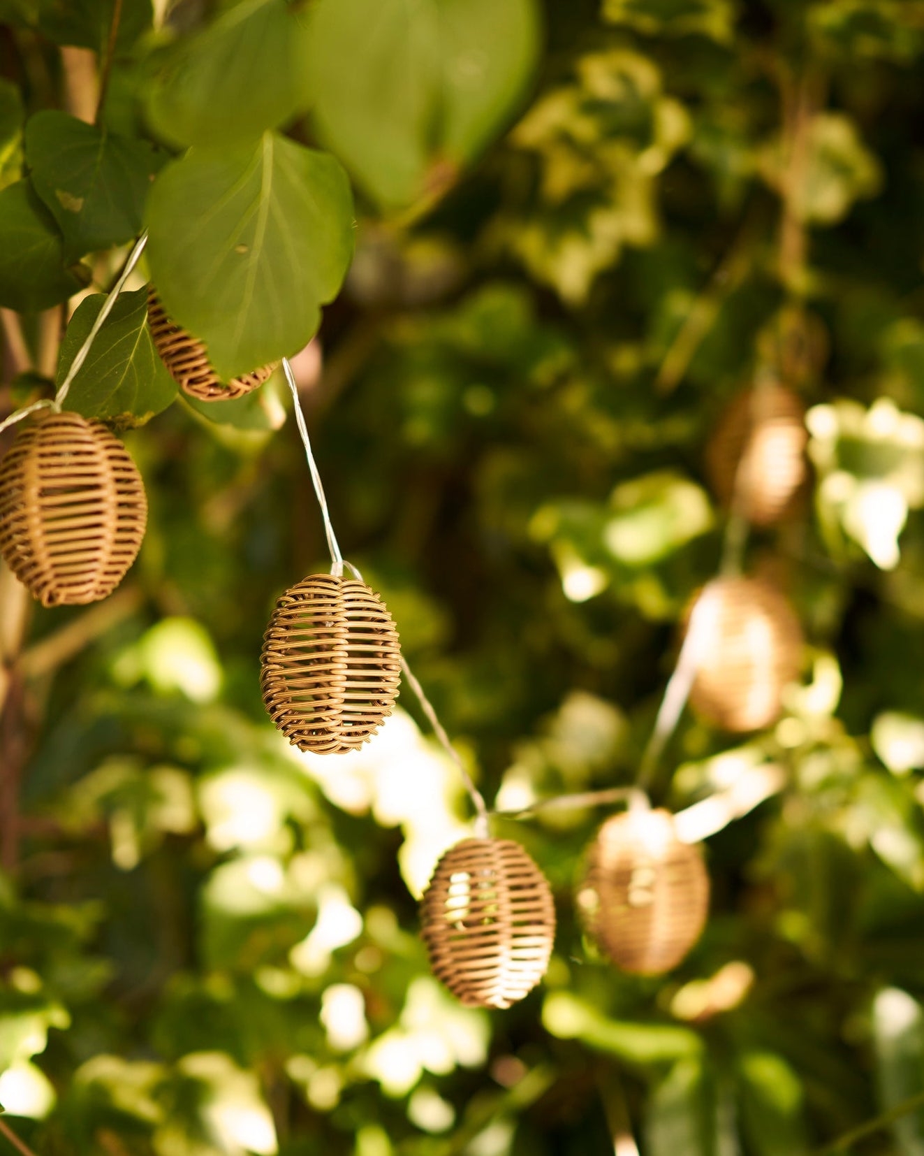Detalje af dekorativ lysekæde i rattan mellem grønne planter