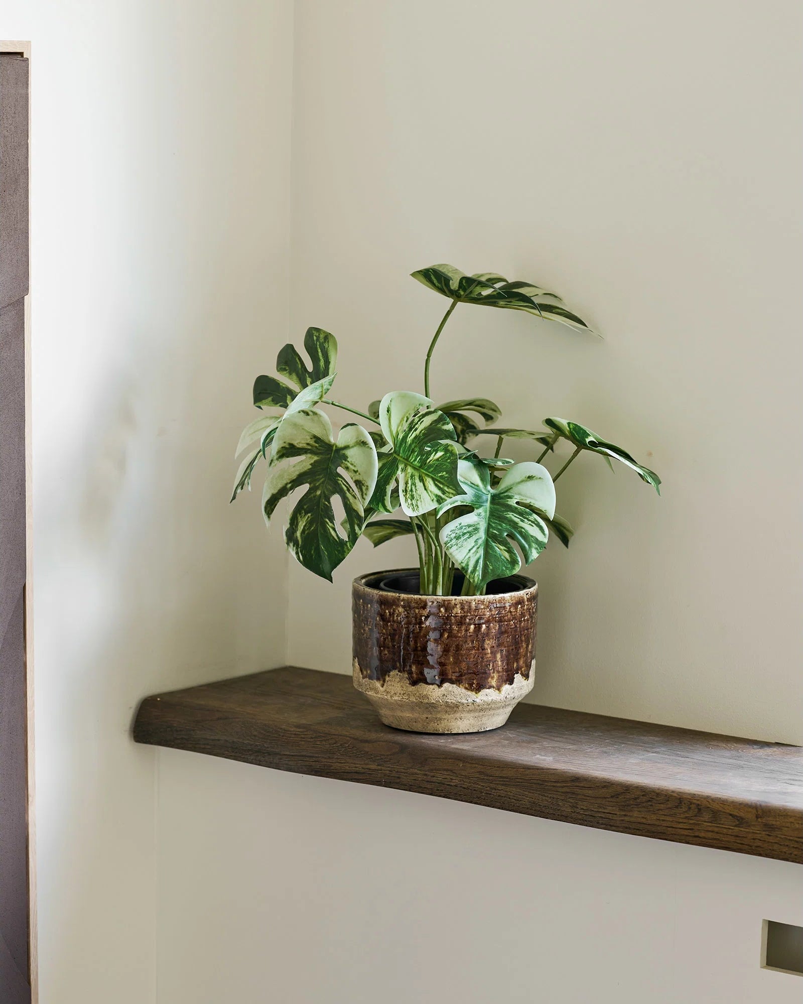 Kunstig Monstera plante med grønne og cremefarvede blade i rustik urtepotte