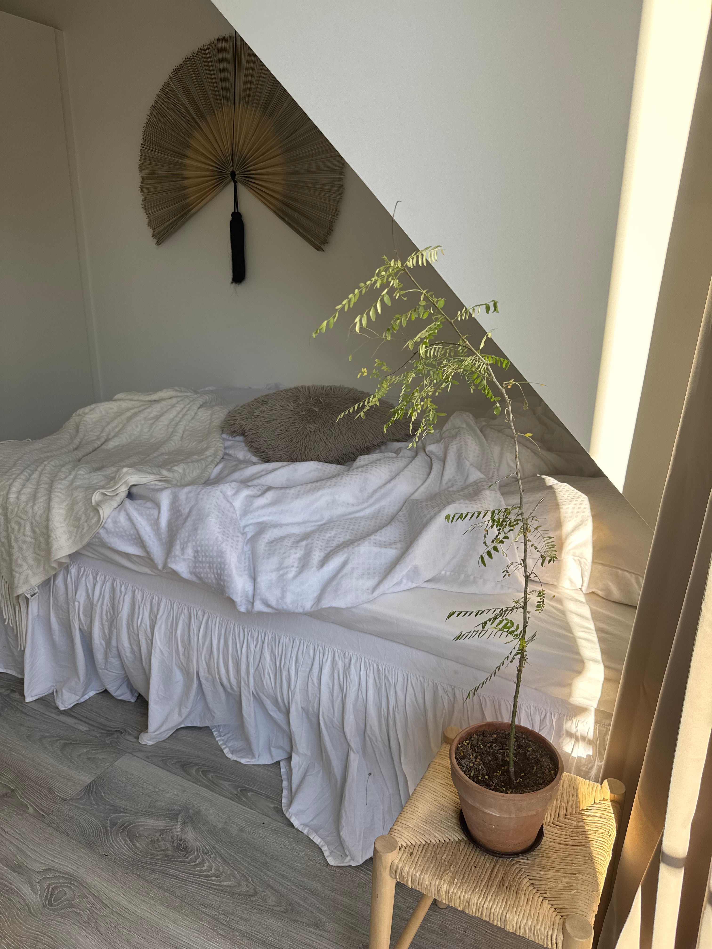 Saga bambusvifte i natur – dekorativ vægvifte klar til ophæng